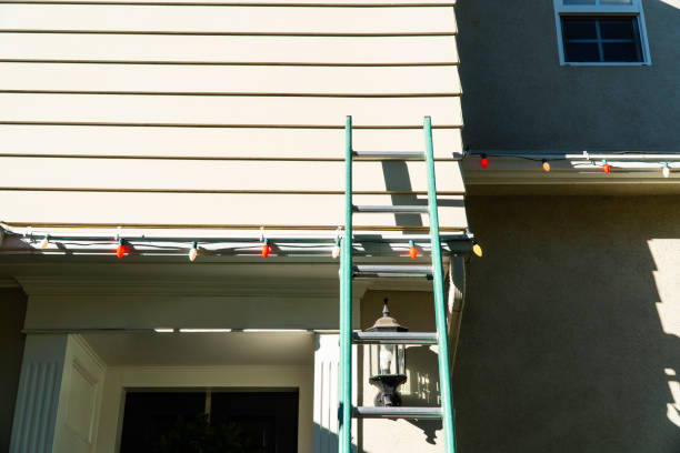 Best Fascia and Soffit Installation  in Browns Mills, NJ
