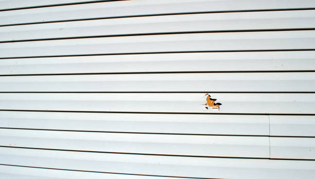 Best Steel Siding Installation  in Browns Mills, NJ