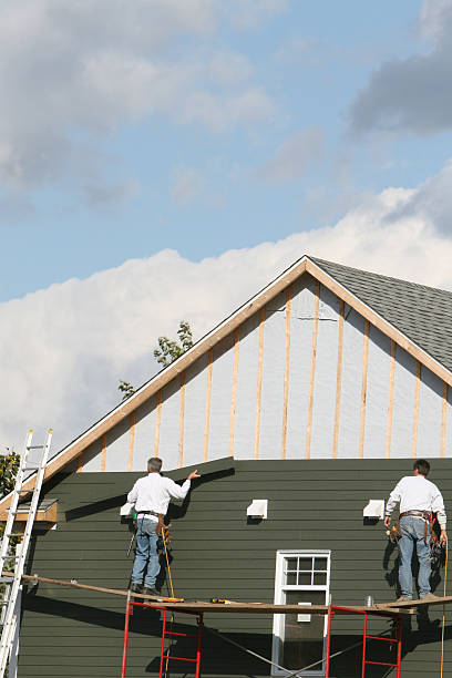 Best Siding Painting and Refinishing  in Browns Mills, NJ