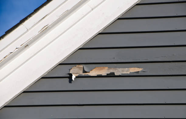 Best Composite Siding  in Browns Mills, NJ