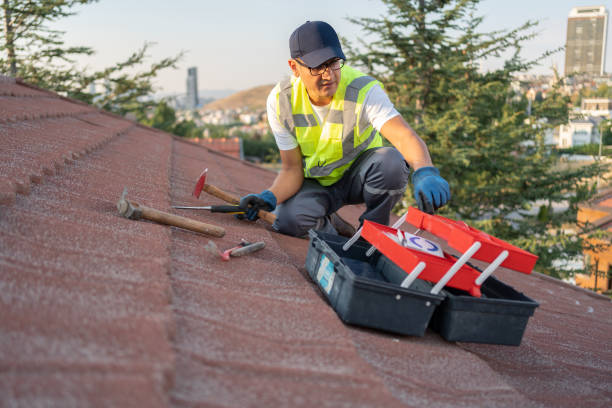 Storm Damage Siding Repair in Browns Mills, NJ